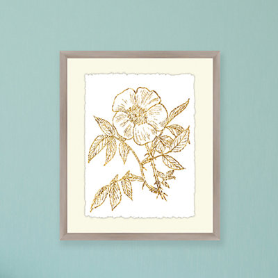 Botanical I Framed Graphic Art Print | Birch Lane